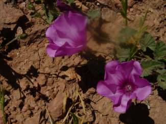 DSC09574.JPG